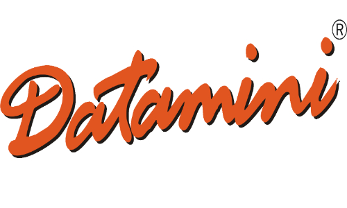 Datamini